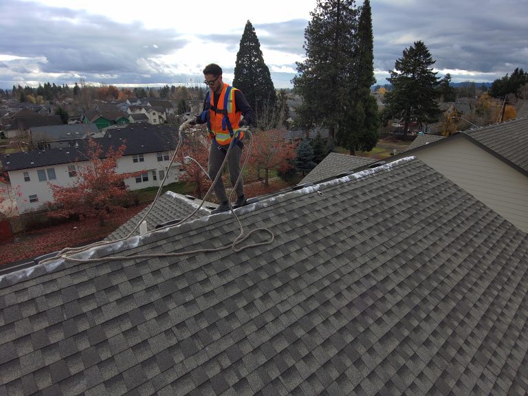2_Roof Cleaning(1)